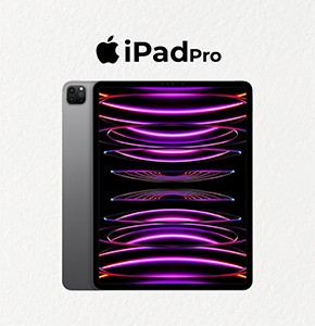 APPLE IPAD PRO M2 (4th GENERATION) 11-inch